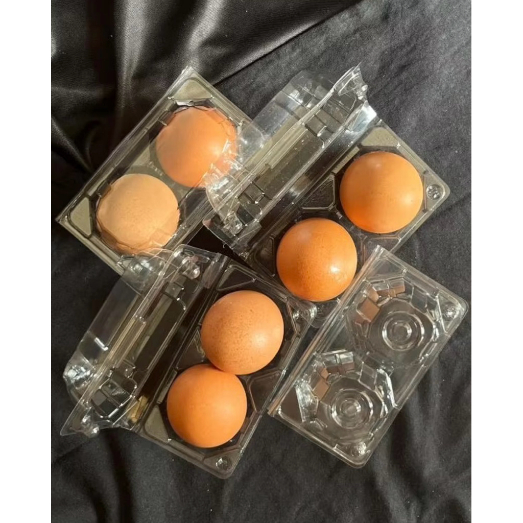 HAPPY GROSIR [ECERAN] Mika Tray Isi 2 dengan pengunci | Box Telur | Tempat Telur | mIKA tELUR