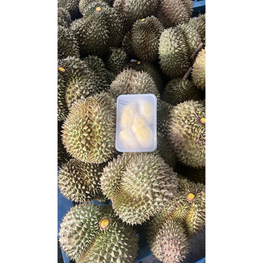 Durian Kupas Monthong Palu Legit
