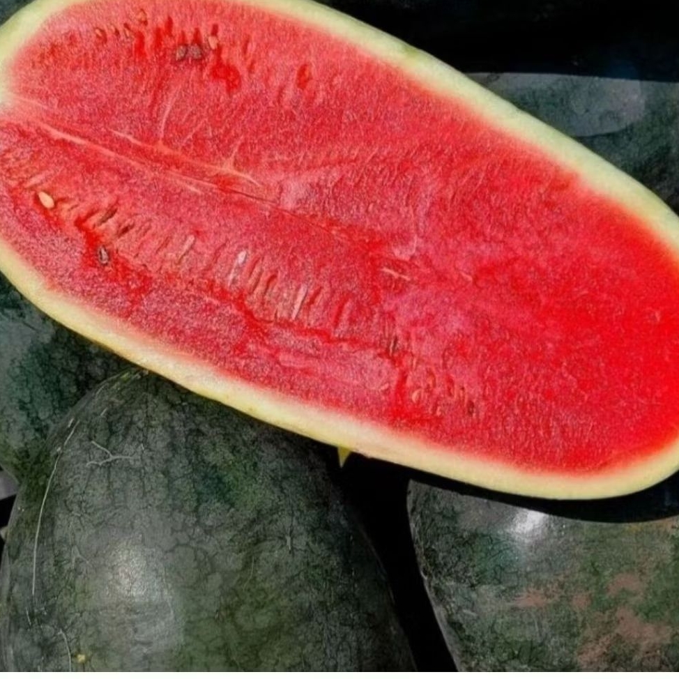 Buah Semangka mini/semangka baby/Semangka Inul perBuah rasa merah dan manis