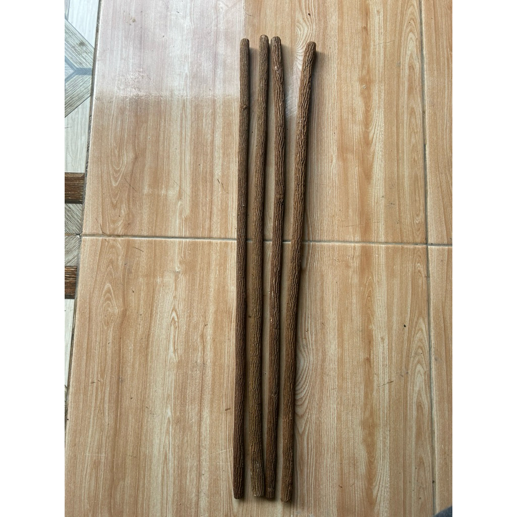 Tangkringan asam jawa/ 4 biji /A super/murai batu/panjang 65cm