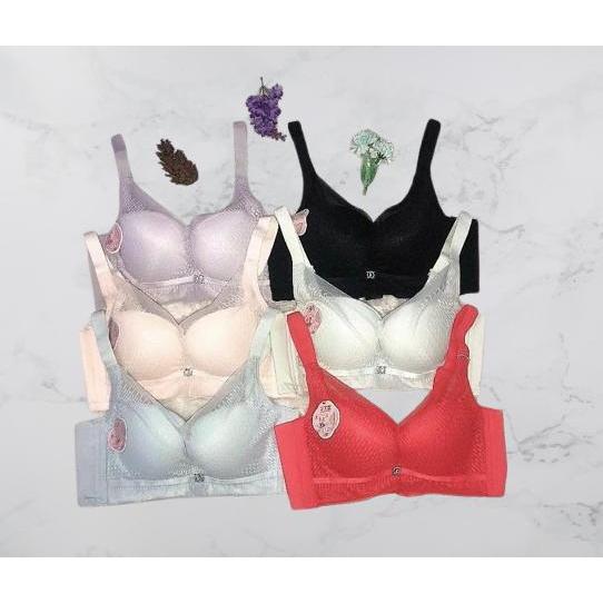 Bra Wanita Push Up Penekan Lemak Bra Fashion Kawat Busa Tebal -+3cm bh 102