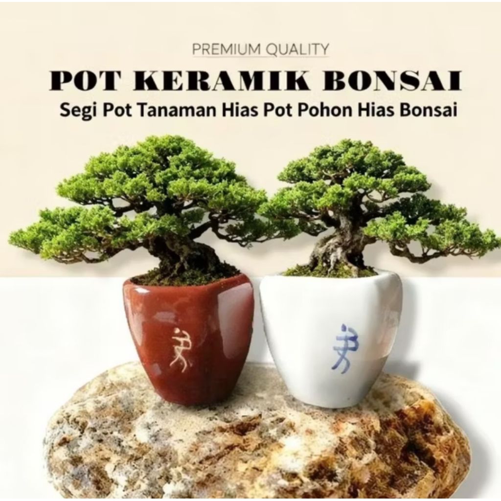 Pot Keramik Bonsai Segi Pot Tanaman Hias Pot Pohon Hias Bonsai Cup Series