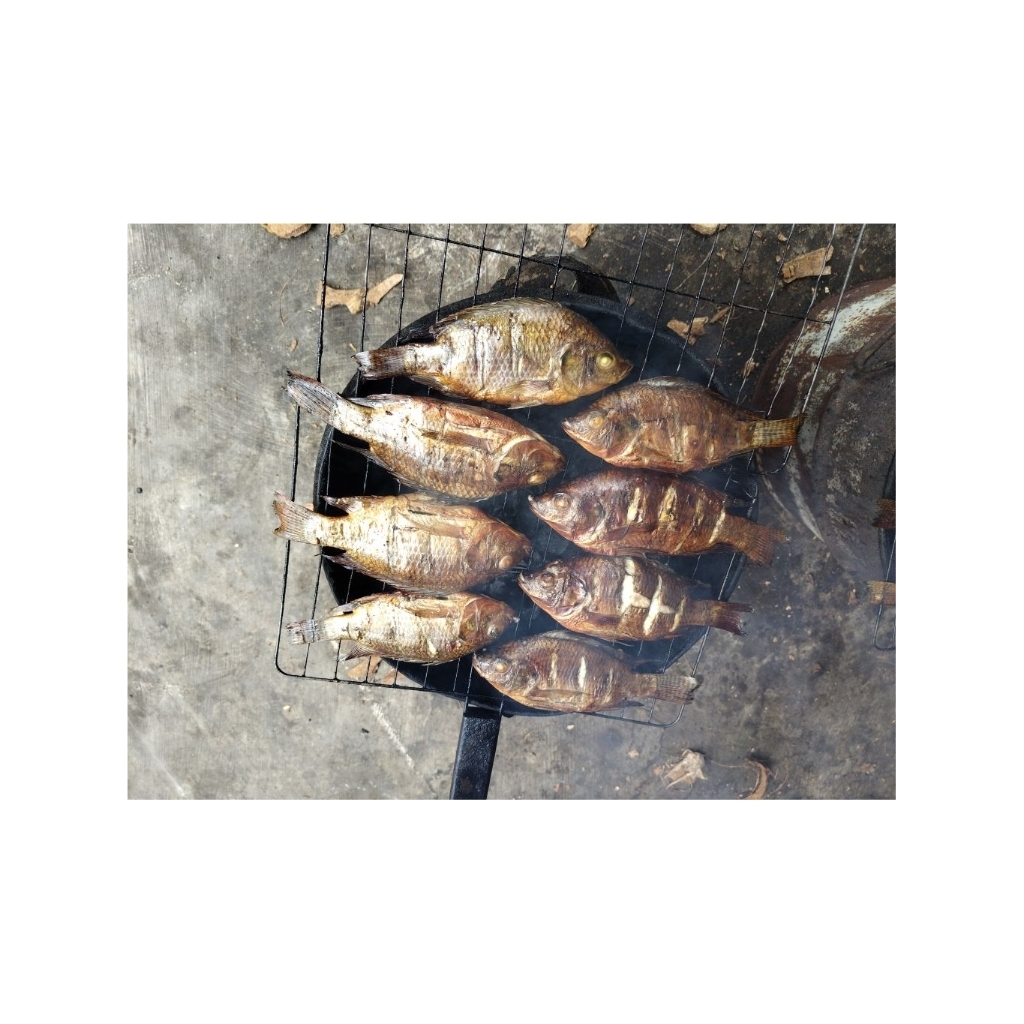 MUJAIR ASAP / NILA ASAP - fresh di ASAP setiap hari ( ½ kg )