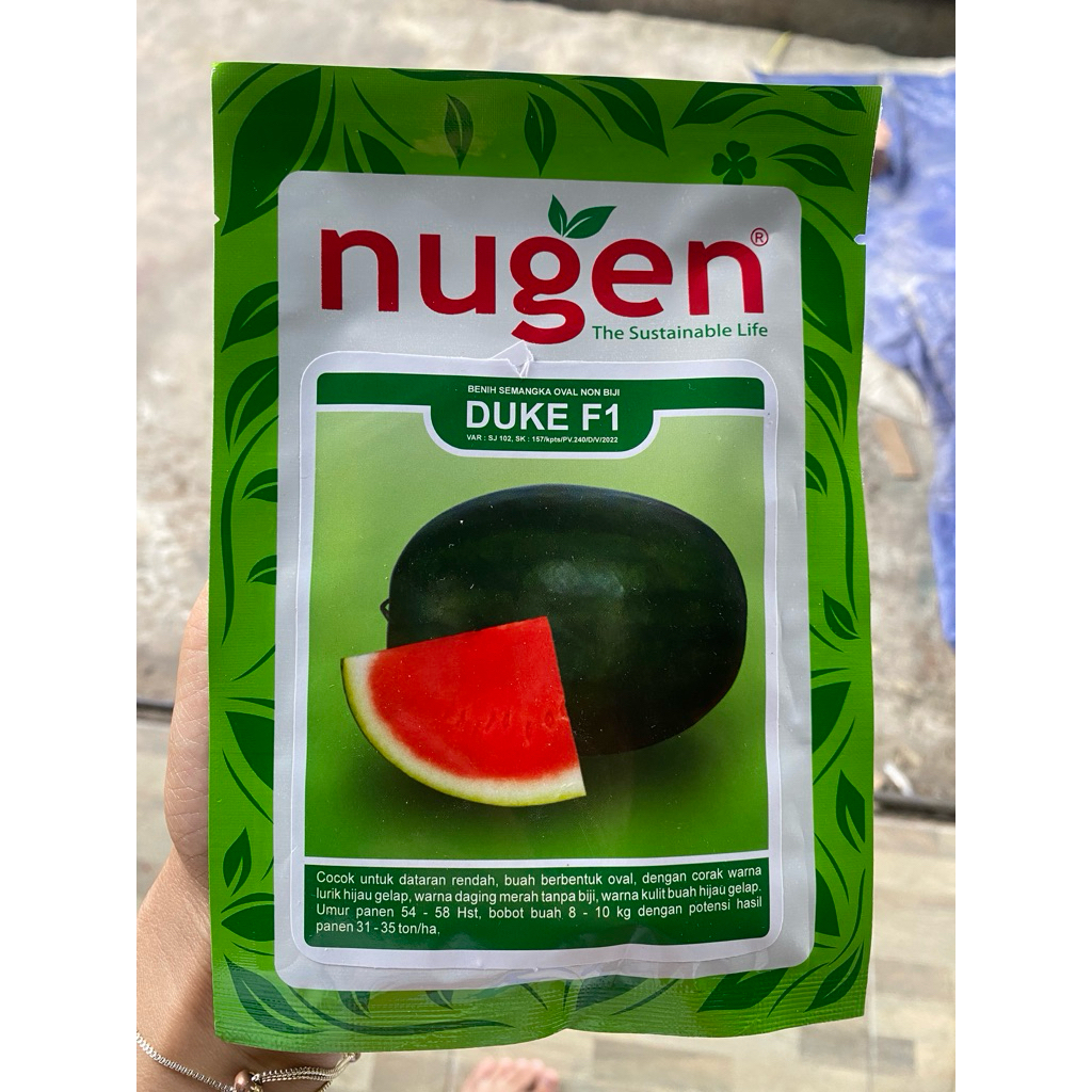 NUGEN Benih Semangka Oval Non Biji DUKE F1
