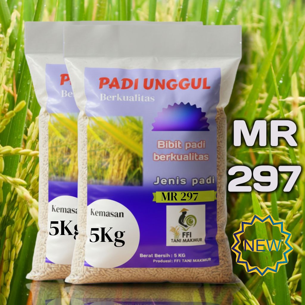 Bibit padi unggul MR 297 Original kemasan 5kg kualitas premium