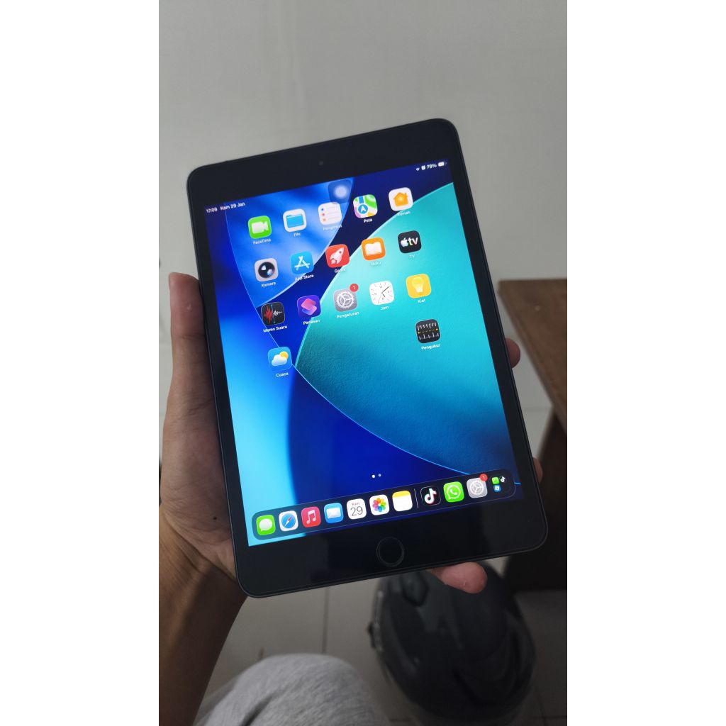 Ipad Mini 5 256GB WIFI Pemakaian Pribadi