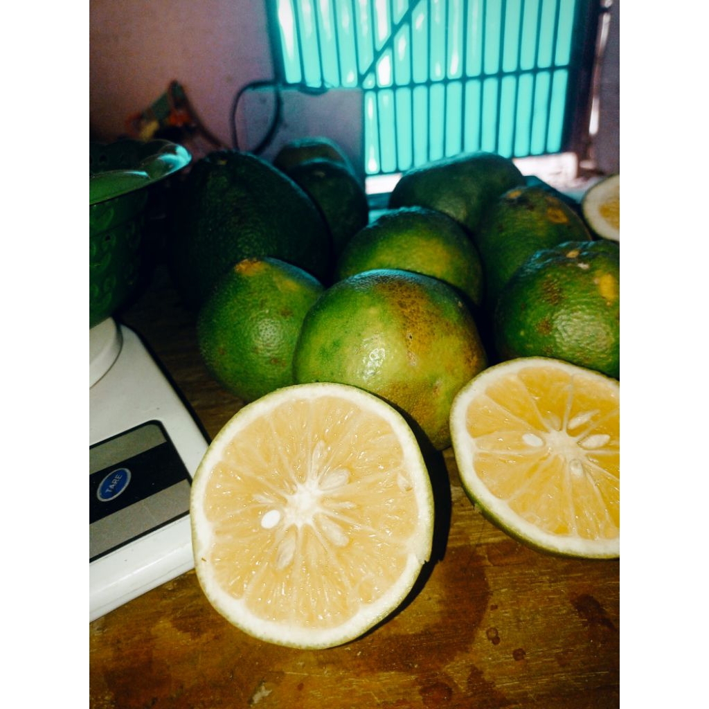 Promo Jeruk Baby Fresh Seger 1 Kg / Jeruk Baby Java Lokal / Jeruk Baby Sragen