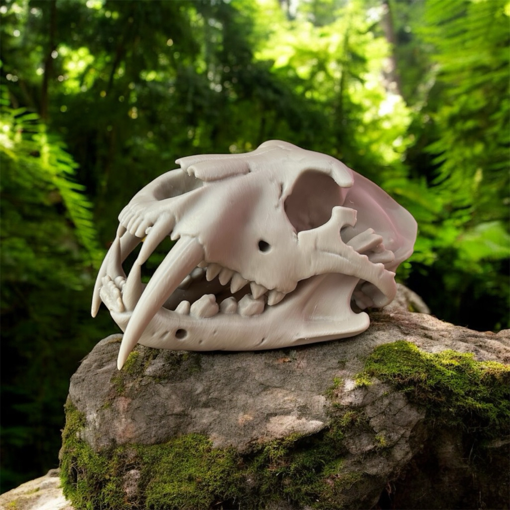 Dekorasi Pajangan Tengkorak Macan Purba 3D Print - Replika Fosil Smilodon Sabertooth