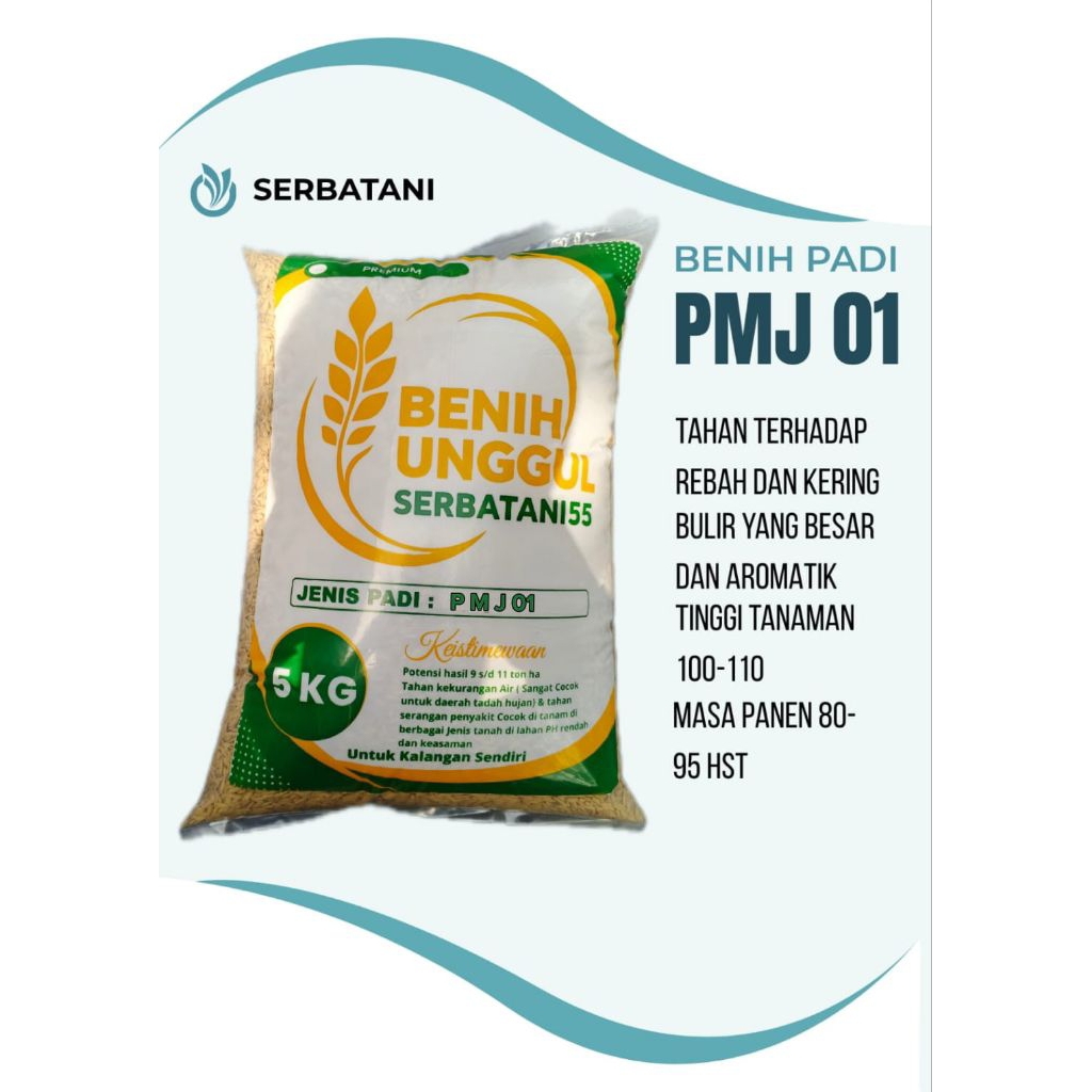 Benih padi bibit padi 5 kg PMJ 01