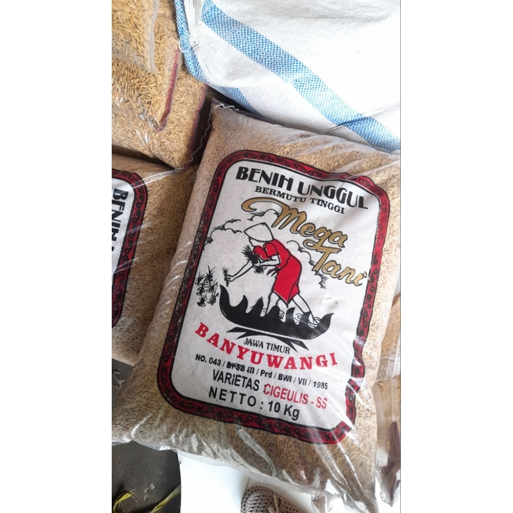 bibit padi cigeulis banyuwangi 10kg