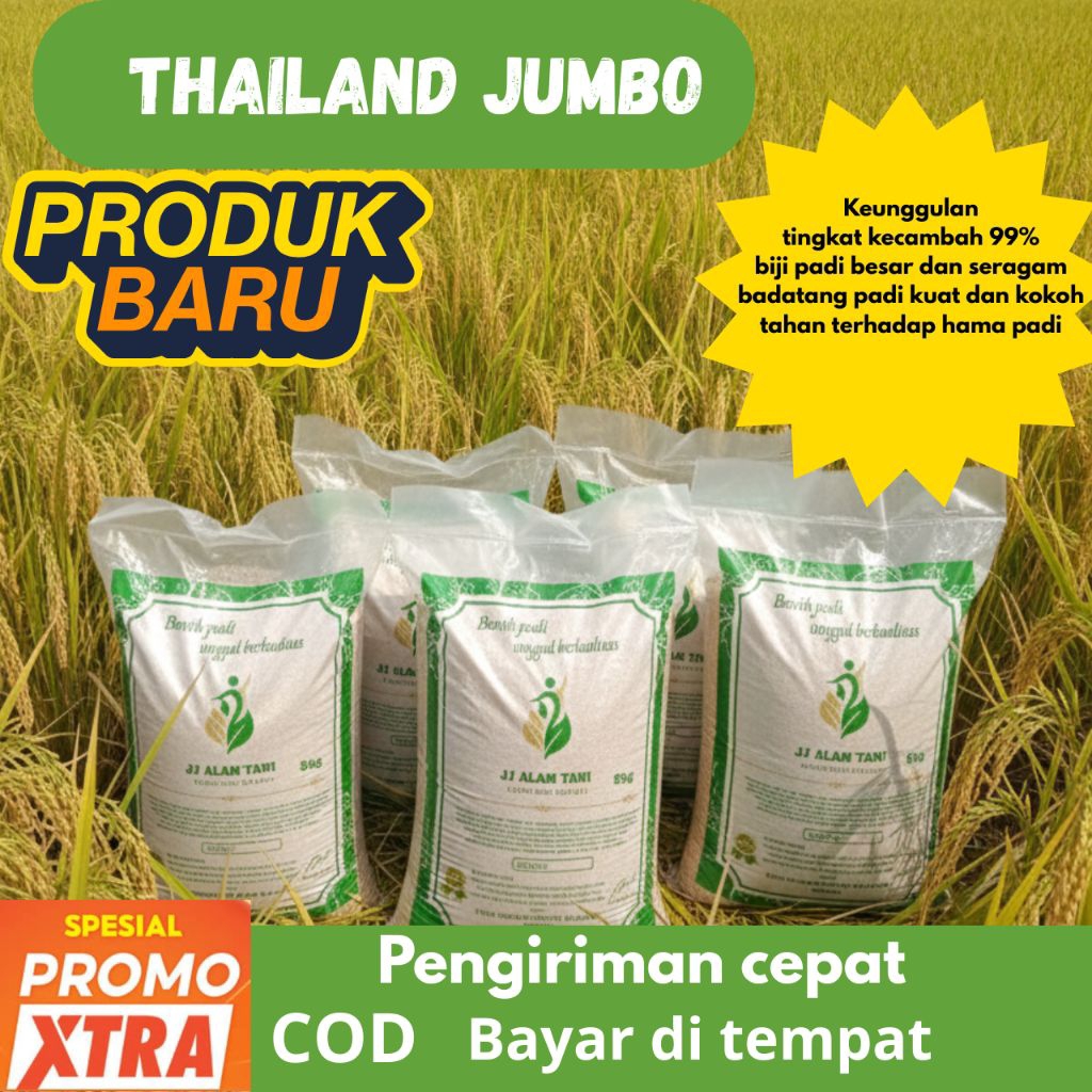 Benih padi  Varietas Thailand jumbo