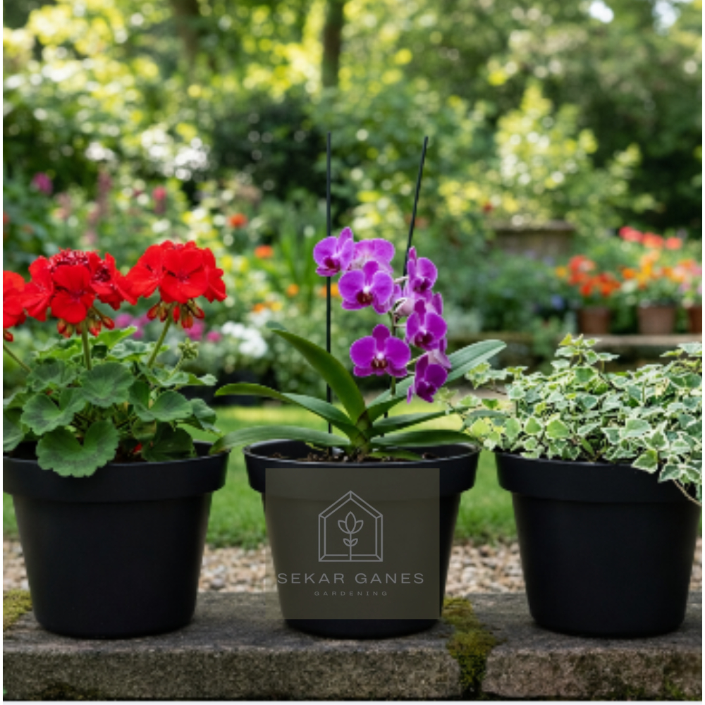 LUSINAN Pot 20 Hitam Isi 12 Pcs TERMURAH GROSIR Pot Lusinan 12pcs Hitam Murah Termurah 12 20 25 30Cm