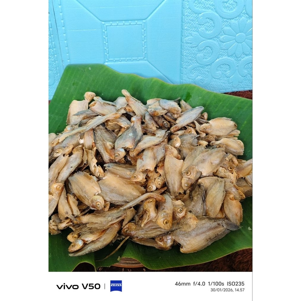 ikan asin sepat kecil