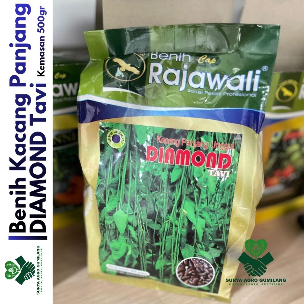 Benih Kacang Panjang DIAMOND TAVI | Benih Kacang Panjang cap Rajawali | Bibit Kacang Panjang Tavi