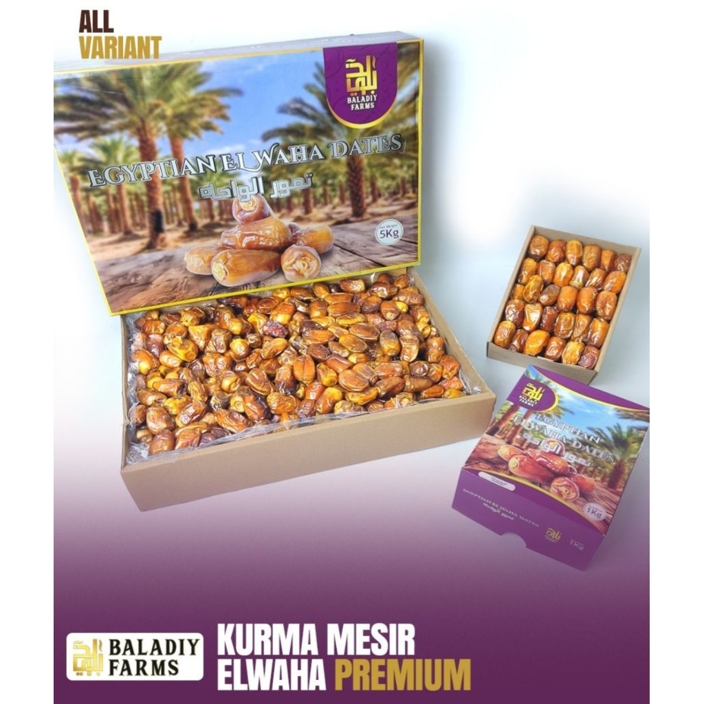 kurma mesir elwaha 5kg kurma premium