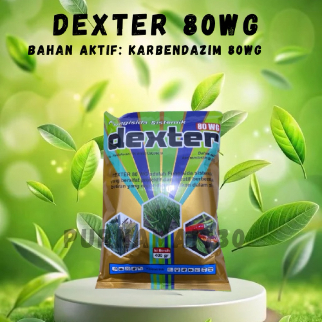 Fungisida Dexter 200 gram Bahan Aktif Karbendazim