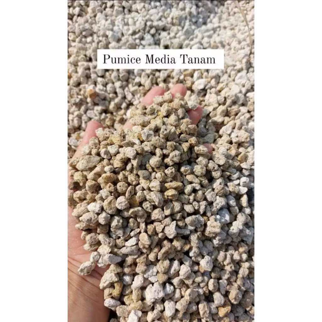 Pumice media tanama 1kg