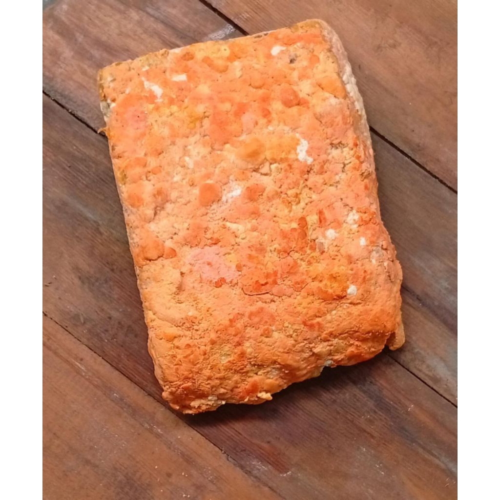 Oncom satu potong segar