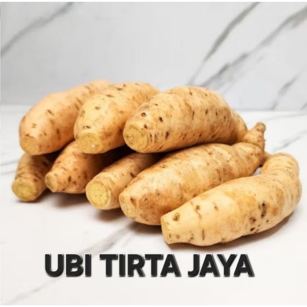 1kg.UbiMaduCilembuSimanisMadu