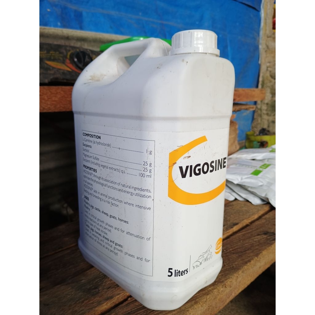 Vigosine suplemen pertumbuhan ayam 5 liter