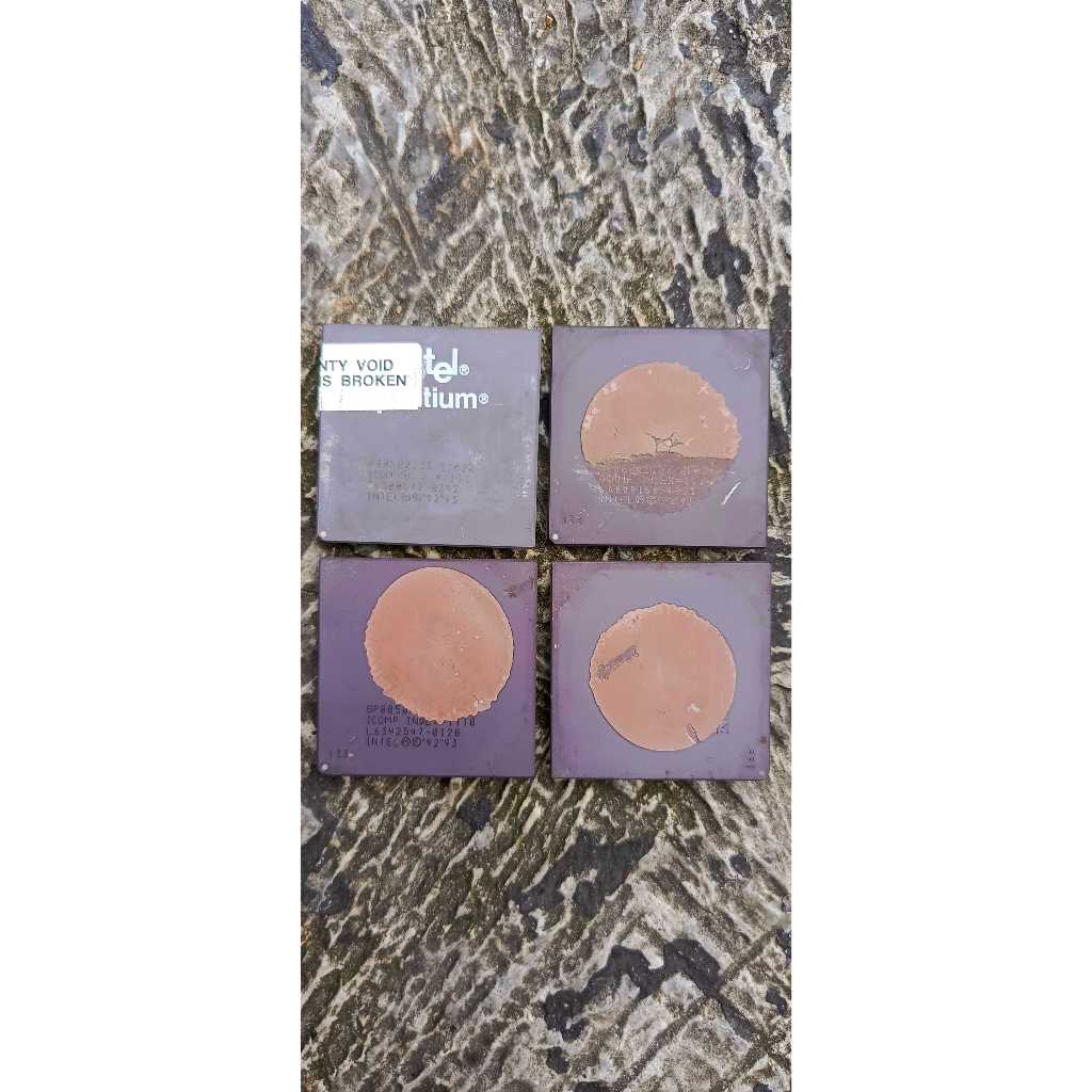 Processor Pentium Lama