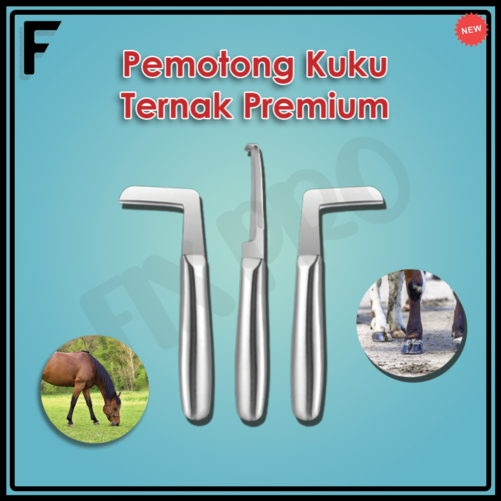 Pisau Perawatan Kuku Sapi Stainless Steel | Alat Potong Kuku Ternak Profesional