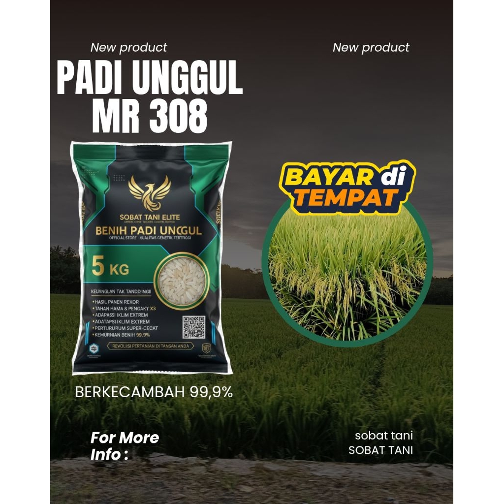 Benih padi unggul bibit padi unggul MR 308 5kg Berkualitas tinggi original potensi hasil 11ton/h mud