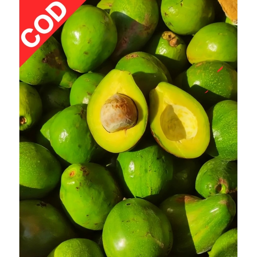 Alpukat Mentega Super Termurah 1 Kg isi 5-7 JAWA - BALI