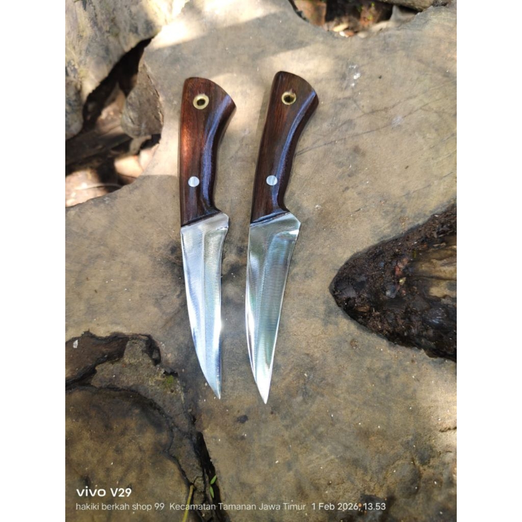 pisau cangkok tanaman antikarat