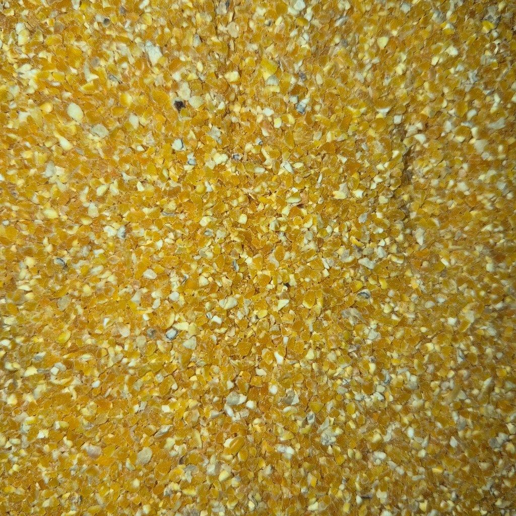 Jagung Beras Pakan Ayam Kampung & Pedaging Makanan Ayam Berkualitas 1 kg