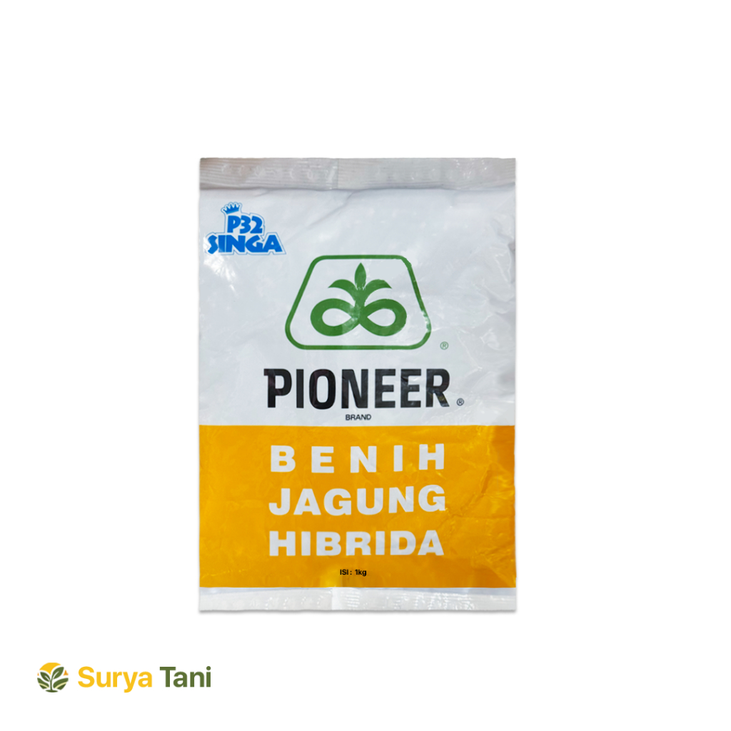 Benih Jagung Hibrida P32 SINGA Pioneer 1kg - Bibit Jagung P32 Unggul