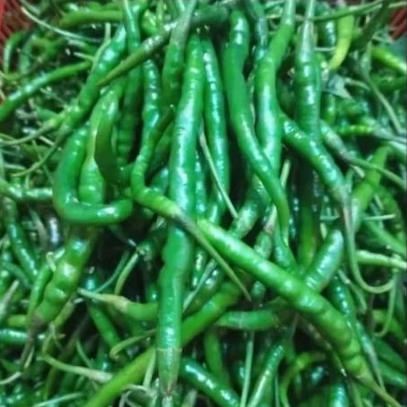 Cabe kriting hijau 100grm/250grm/500grm