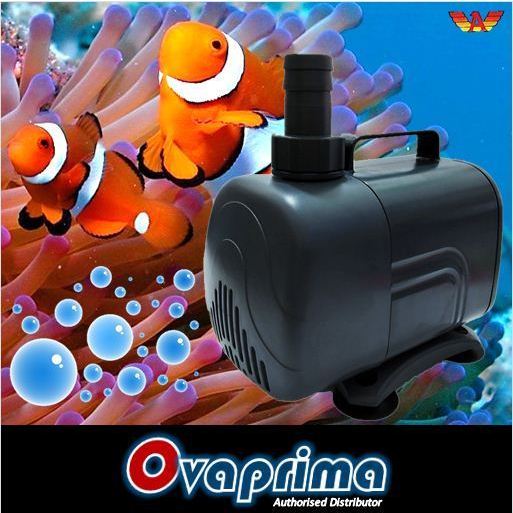 Aquila P-5600 Pompa Celup Aquarium Aquascape Kolam Submersible Water Pump P5600
