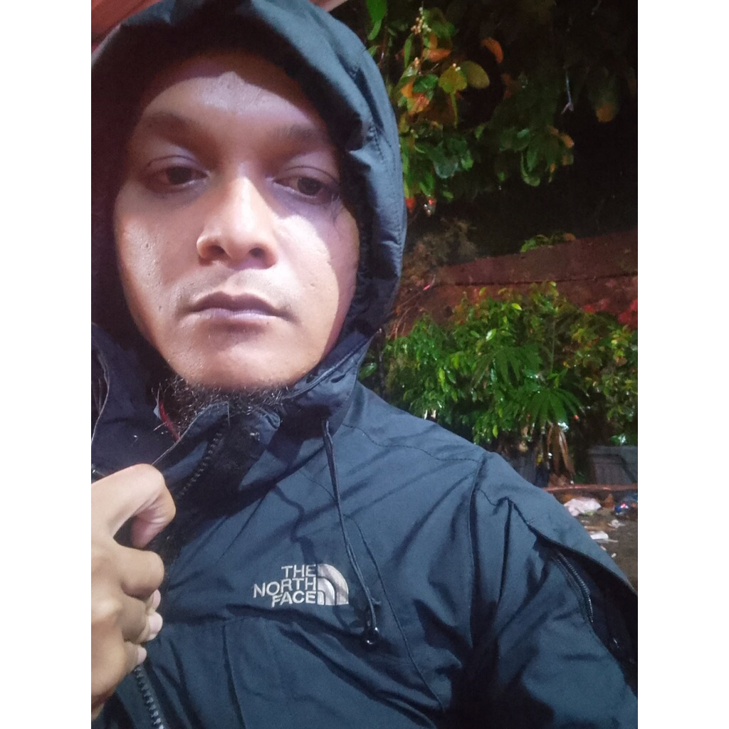 Jaket the north face original