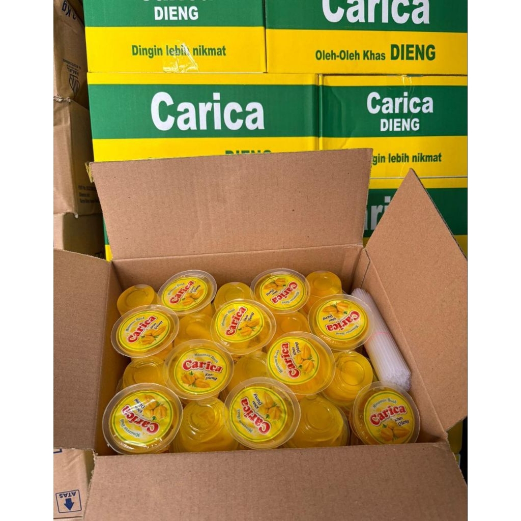 carica purwaceng khas dieng