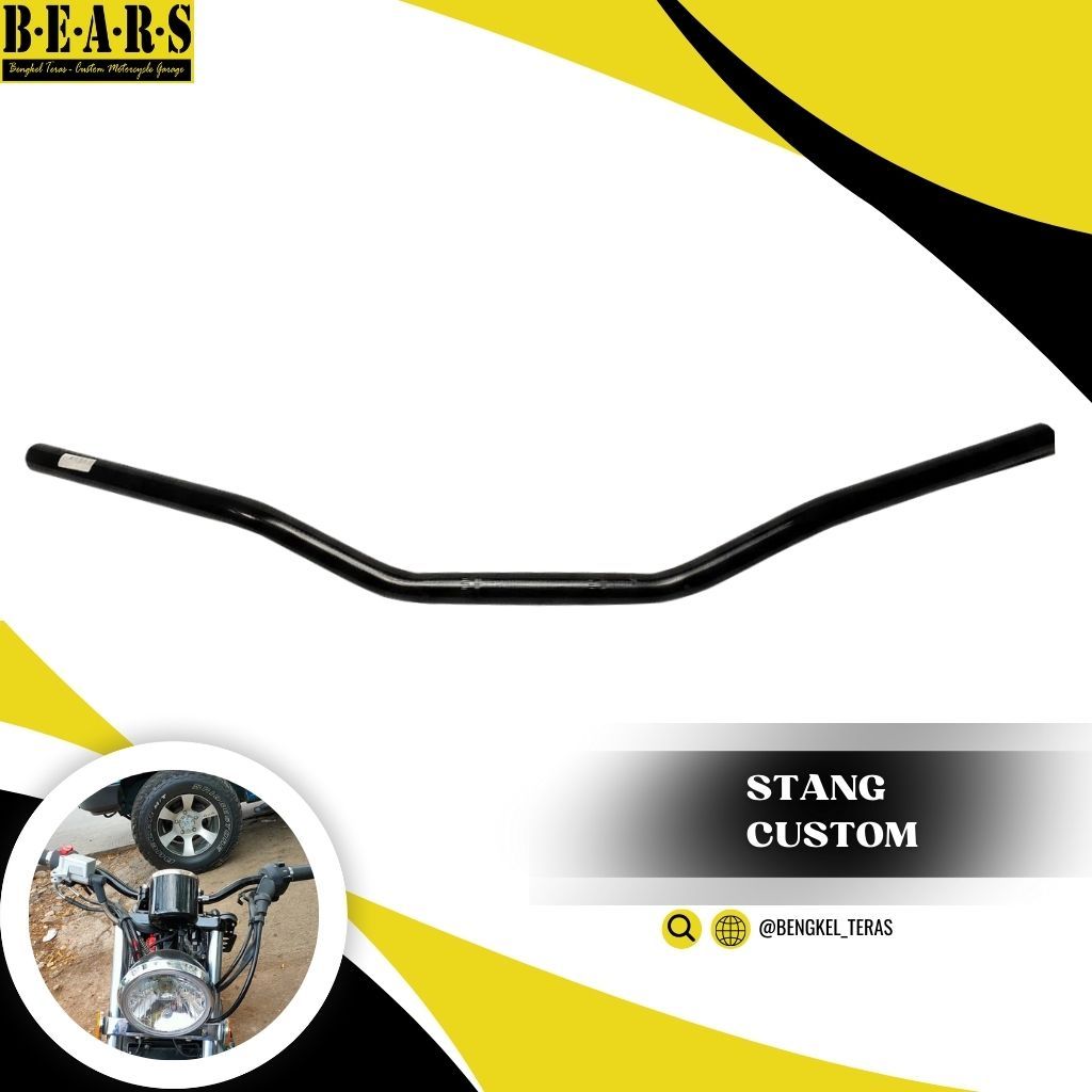 Stang custom Benelli Pantagonian eagle