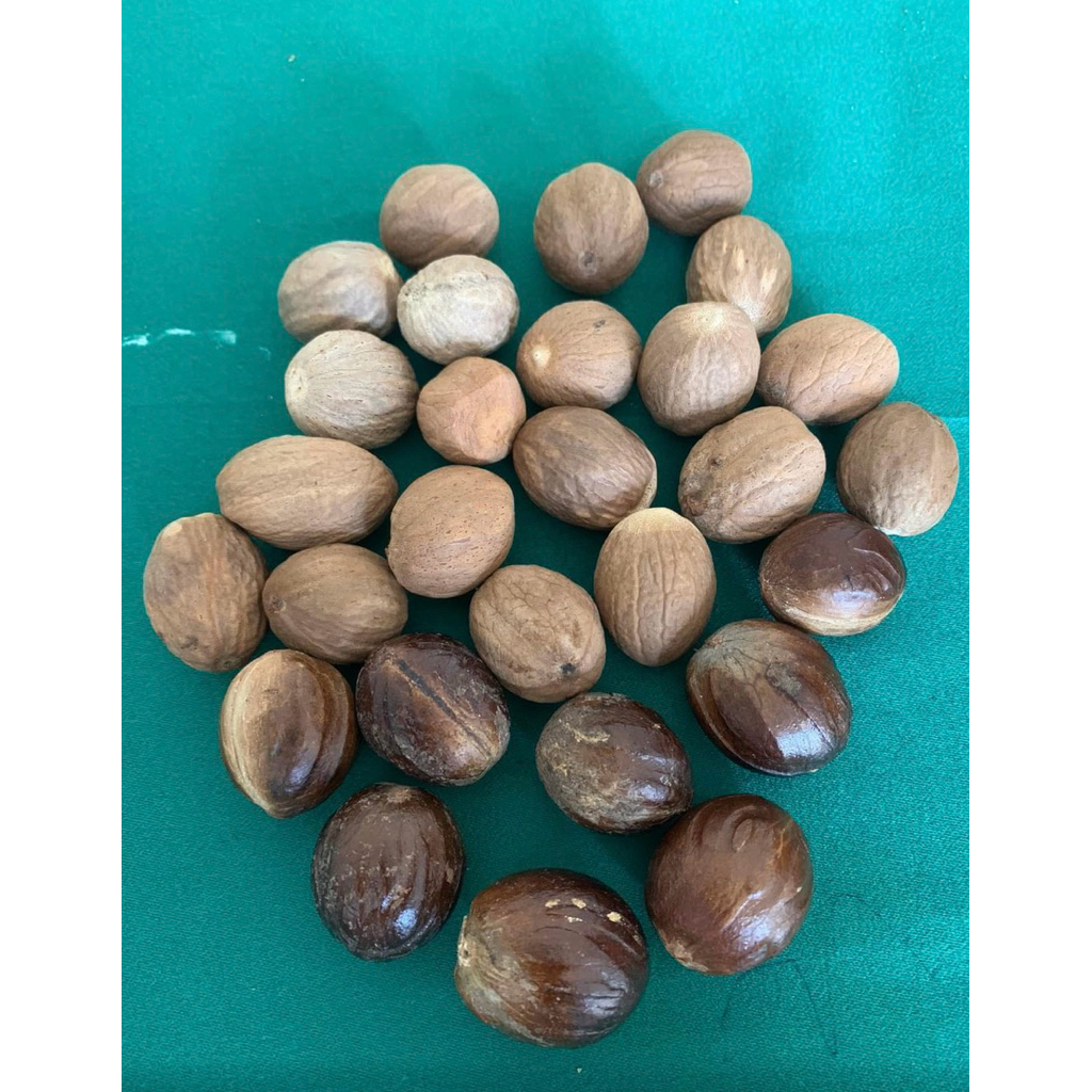 biji pala kering / biji pala 100gr