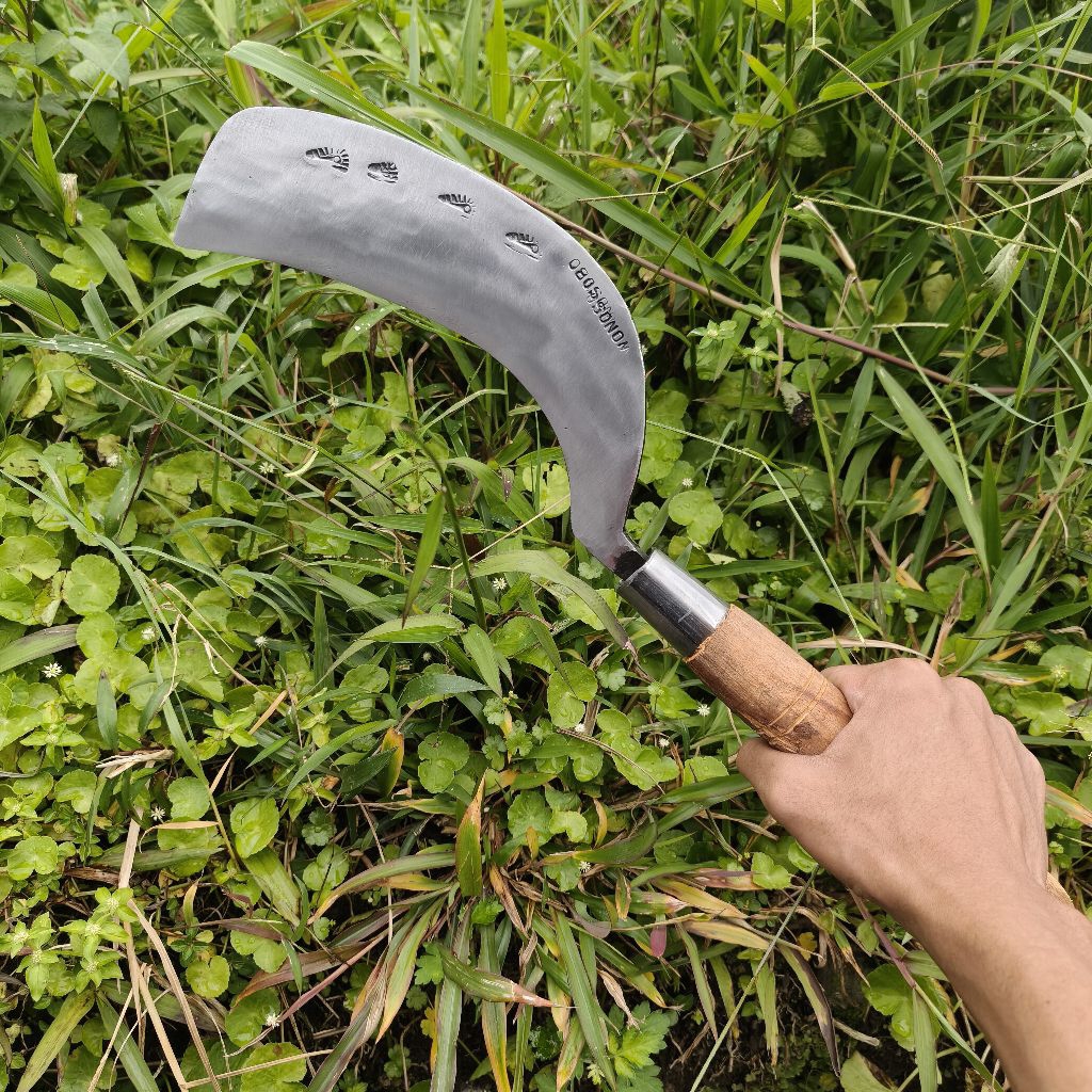 Sabit/Arit Deres Sadap Manggar Kelapa