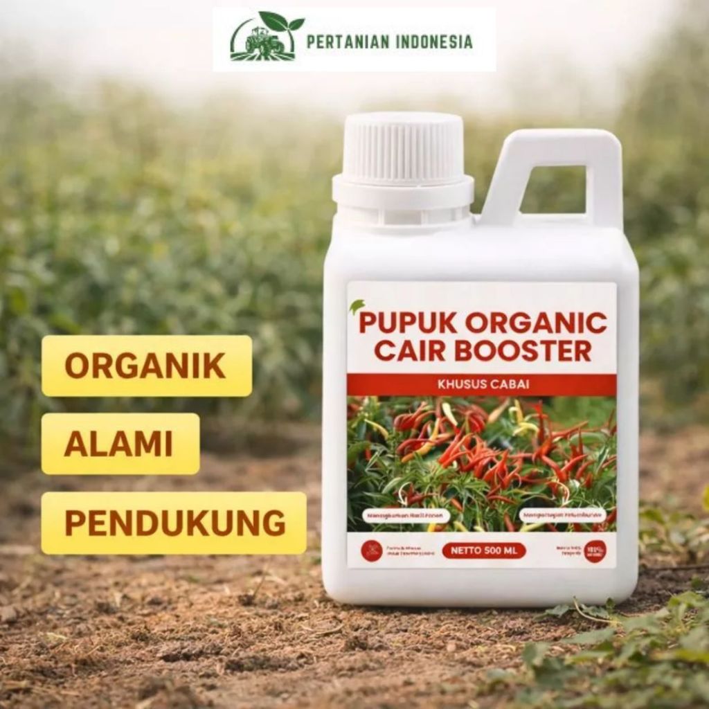 Pupuk booster cabai perangsang bunga dan pelebat buah anti rontok | pupuk mempercepat pertumbuhan ca