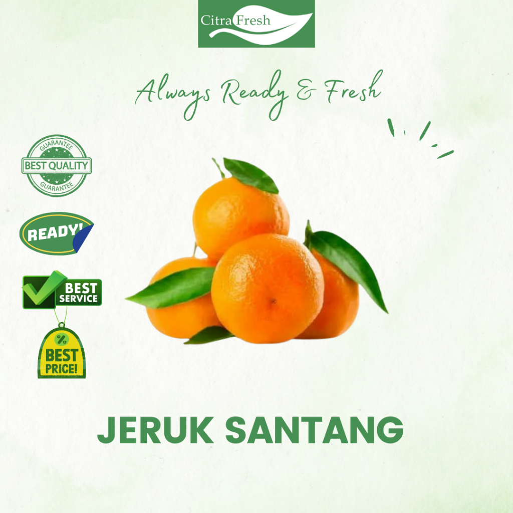 CITRA FRESH - Jeruk Santang / Shantang / Jeruk Imlek 500 Gram  - Selalu Ready dan Fresh