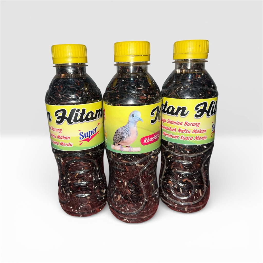 ketan hitam pakan perkutut