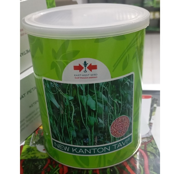 Benih Kacang Panjang New Kanton Tavi 500 gr