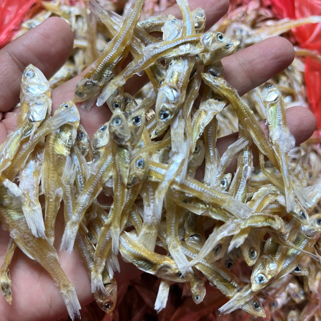 Ikan Teri Tawar sedang Kualitas Premium 500gram Asli Tuban