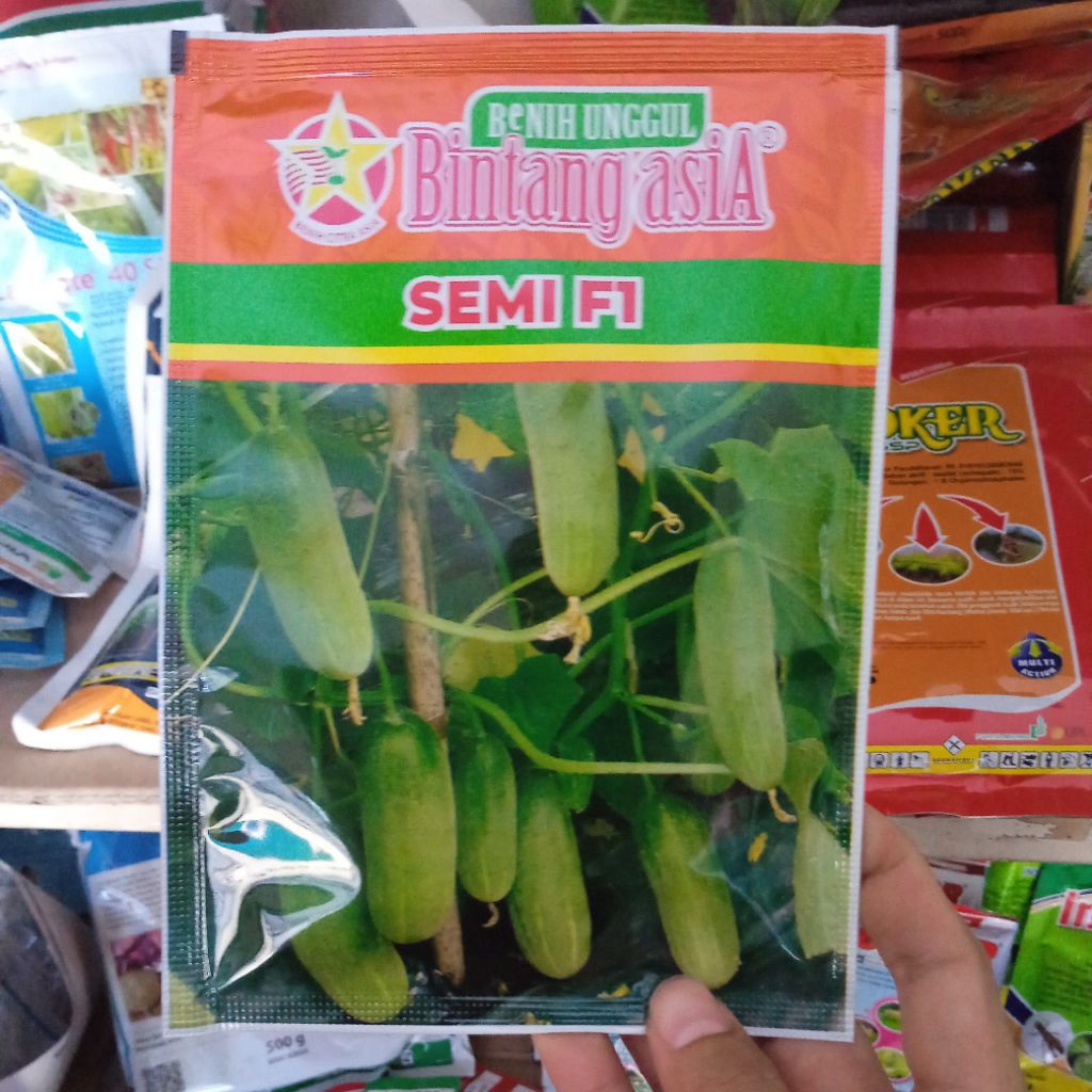 Timun semi F1 20gr