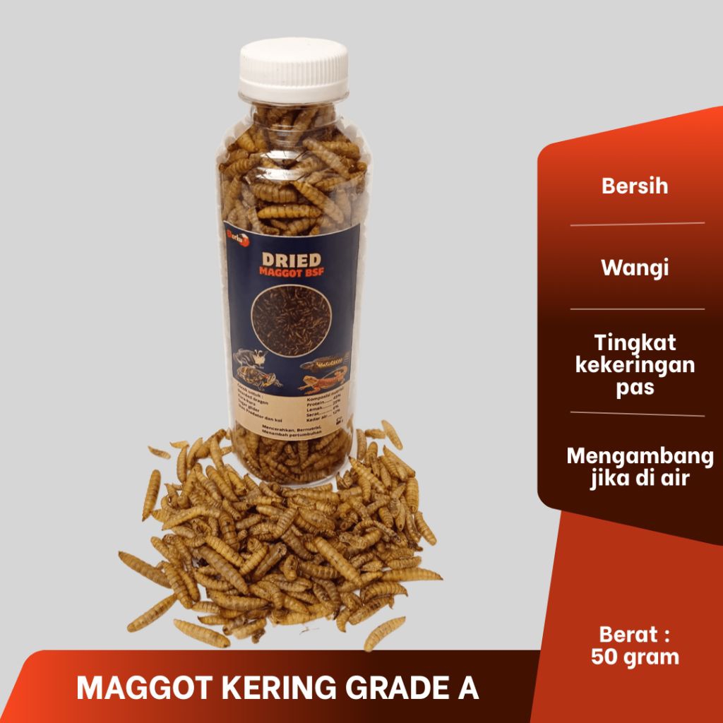 Maggot BSF Kering / Dried Maggot Grade A 50 gram