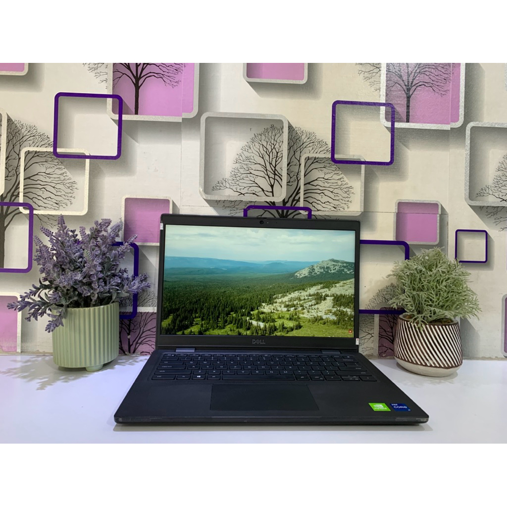 DELL  3420 (SECOND)  11th gen Intel(R)  Core (TM) i7 - 1165G7