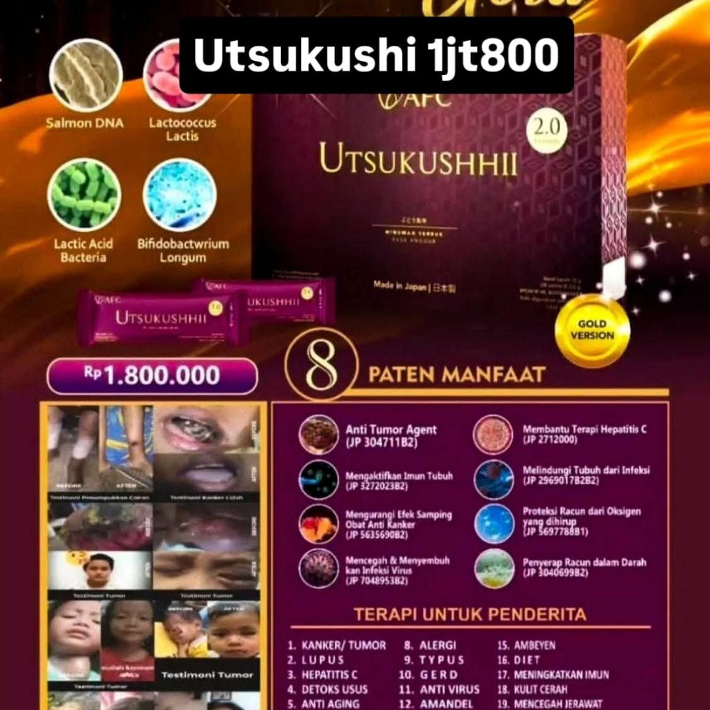 utshukushi minuman herbal