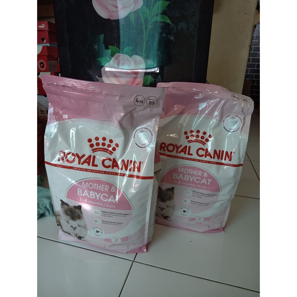 Royal canin mother & baby cat