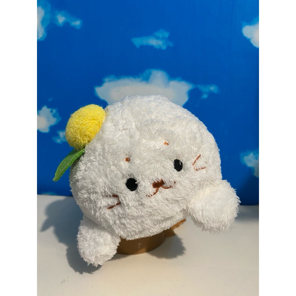 Boneka Karakter Hewan Anjing Laut / Boneka Seal / Boneka Sirotan