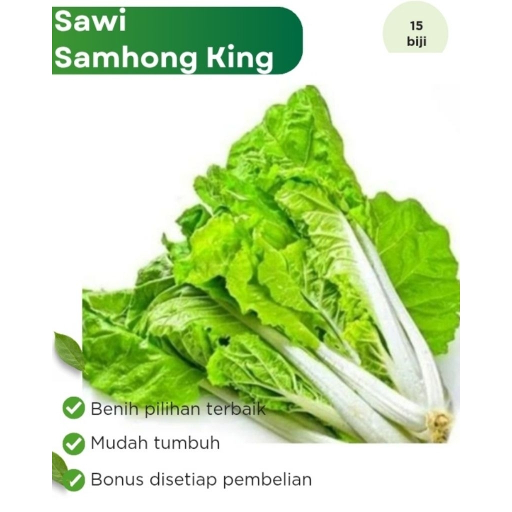 Benih Sayuran Jumbo Sawi Samhong King